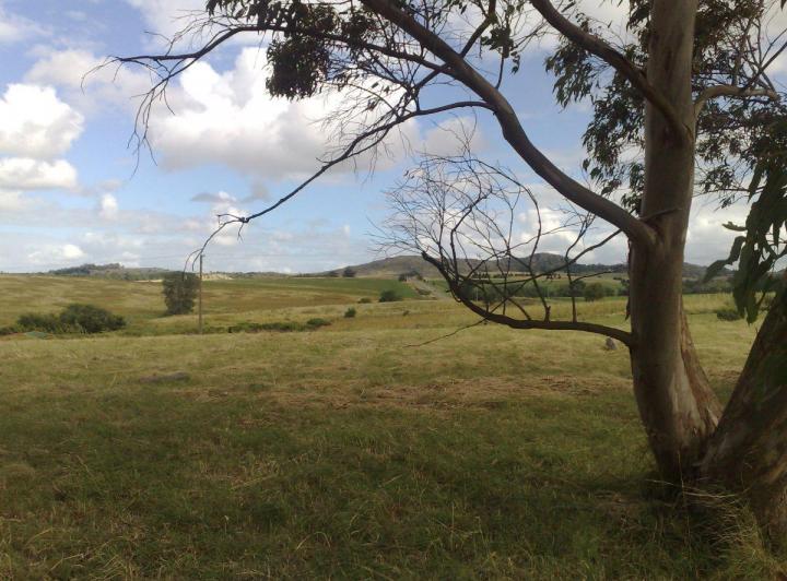 Lote en La Elena, La Elena, Tandil. Foto 1 de 6