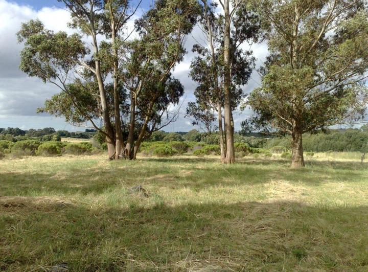 Lote en La Elena, La Elena, Tandil. Foto 5 de 6